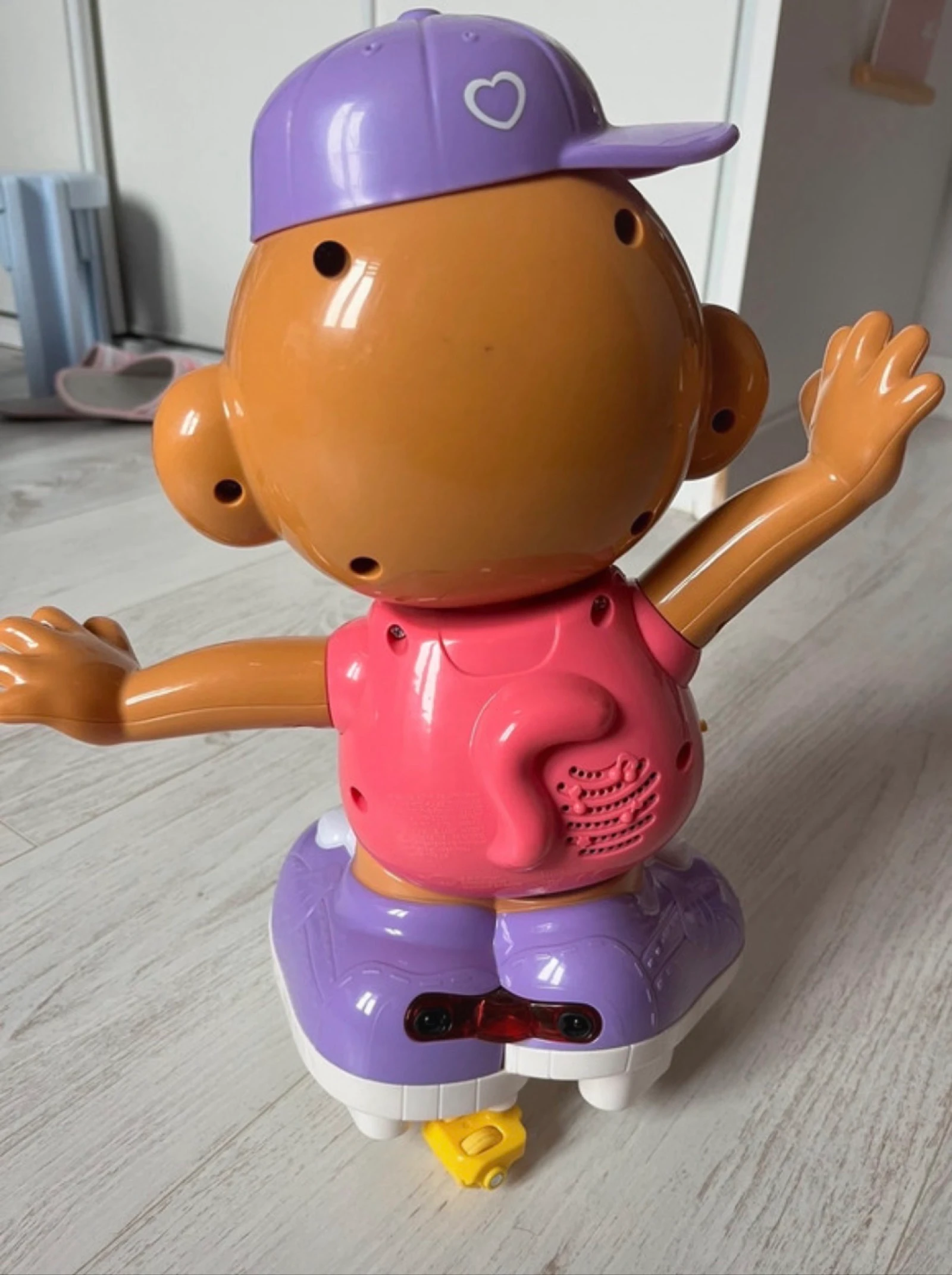 Titi ouistiti – photo 2